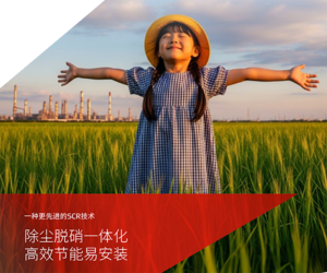 GORE<sup>®</sup> SCR脱硝滤袋